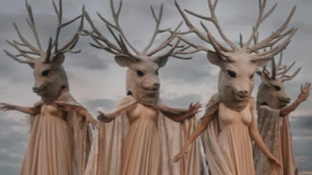 Обложка курса: [Папье-маше] Интенсив [masquenpapiermache]. Площадка: Складчик