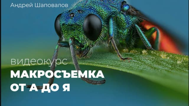 Обложка курса: [Photocasa] Макросъемка от А до Я (Андрей Шаповалов). Площадка: Складчина.biz