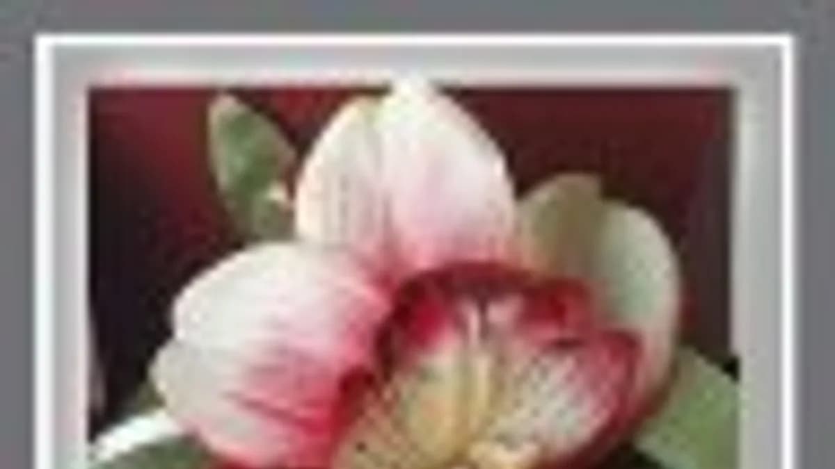 Обложка курса: Питание. Площадка: Складчик