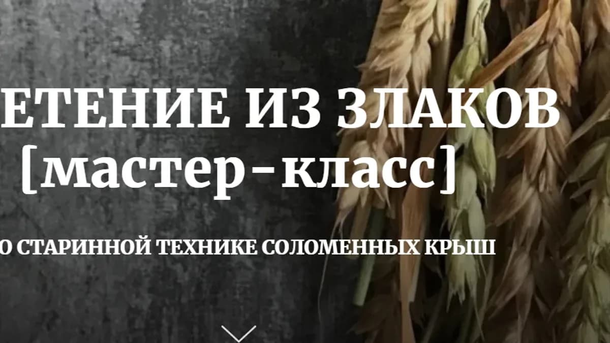 Обложка курса: Плетение из злаков. Площадка: Skladchina.com