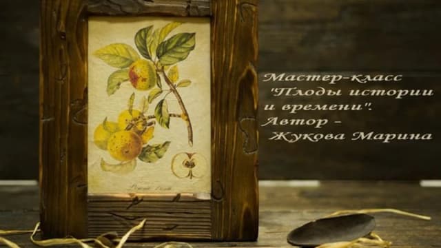 Обложка курса: Плоды истории и времени (Марина Жукова). Площадка: Складчина.biz
