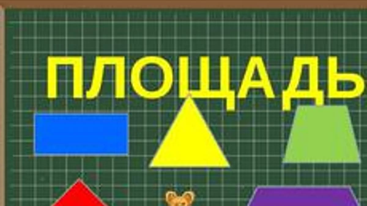 Обложка курса «Площадь. Единицы площади» на Stepik