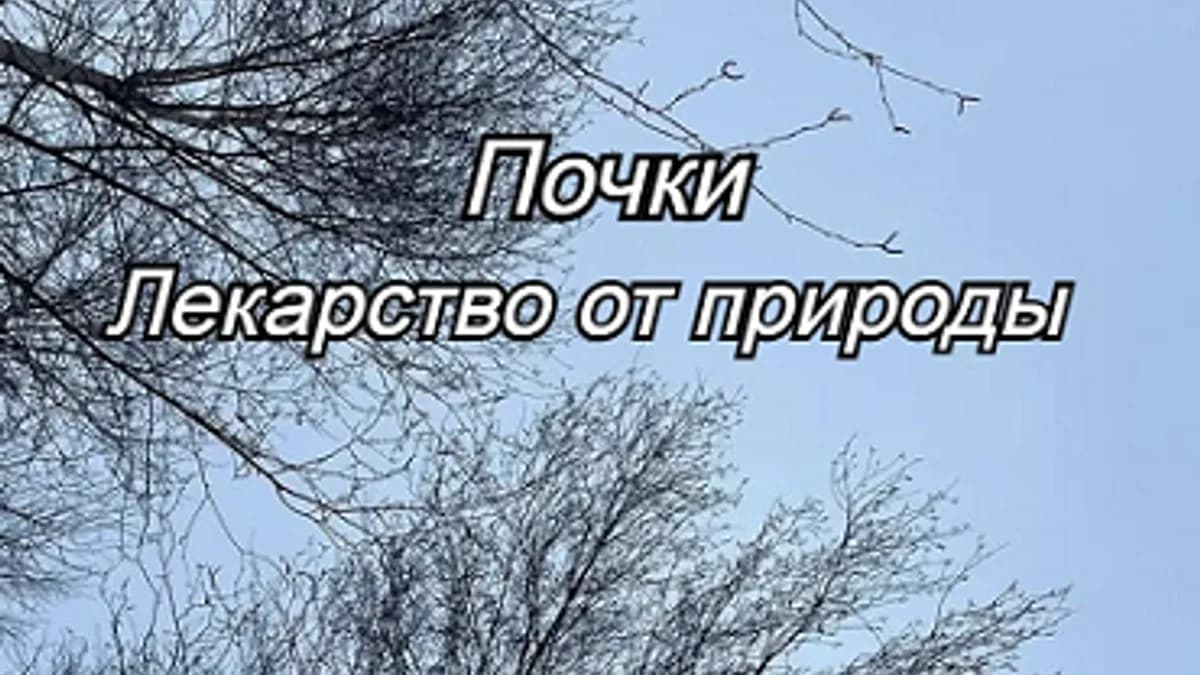 Обложка курса: Почки. Лекарство от природы [Елена Матюнина]. Площадка: Складчик
