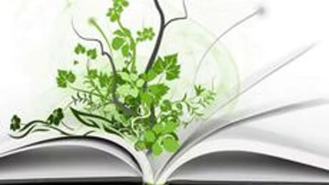 Обложка курса «Поэзии посвящается...» на Stepik