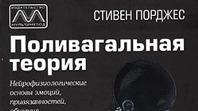 Обложка курса: Поливагальная теория [Стив Порджес]. Площадка: Складчик