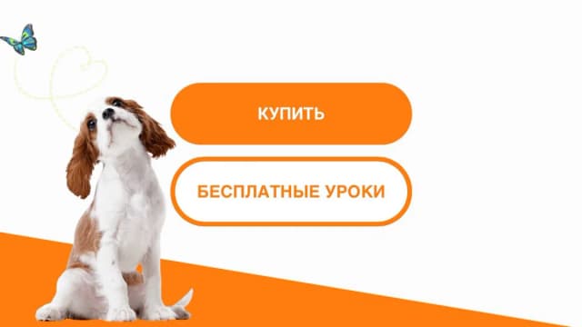Обложка курса: Послушный щенок без хлопот! [Татьяна Романова]. Площадка: Складчик