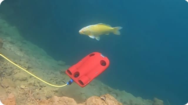 Обложка курса: Построй свой собственный подводный дрон [cpsdrone]. Площадка: Складчик