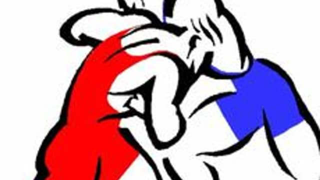 Обложка курса «Практика преподавания вольной борьбы в высшем учебном заведении» на Stepik
