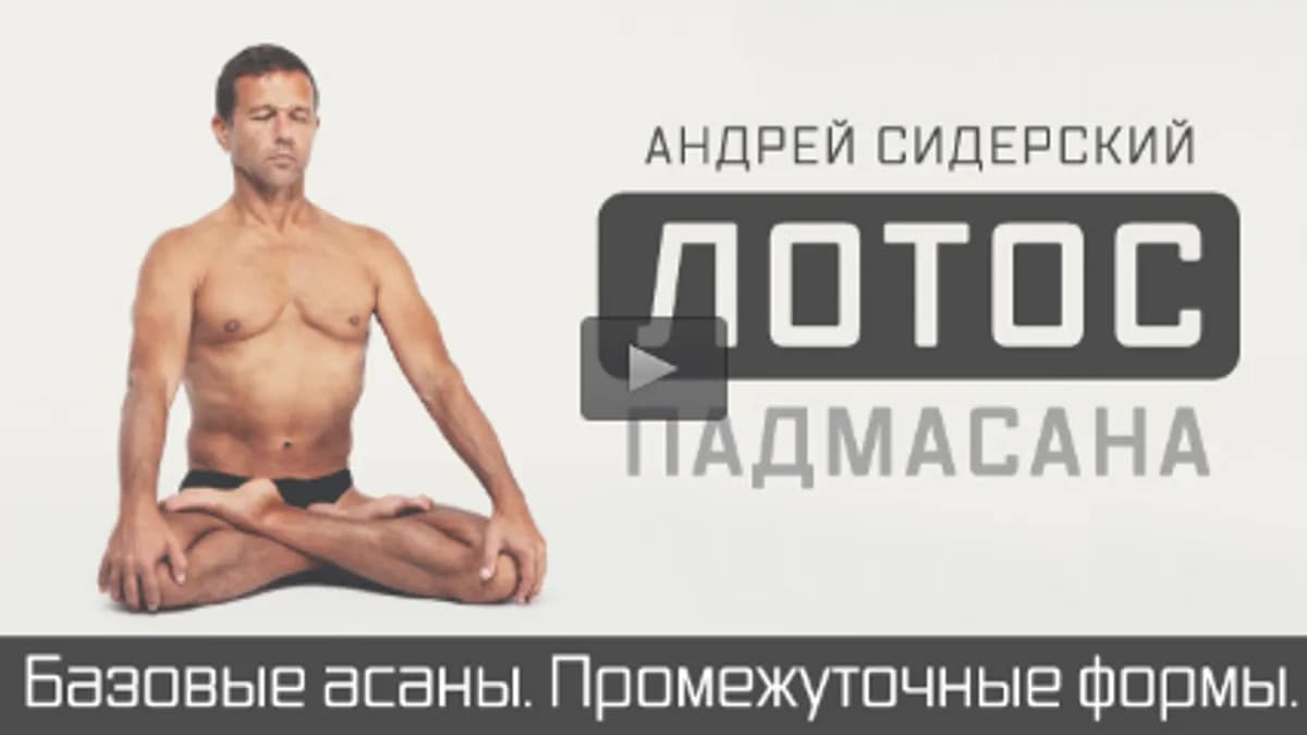 Обложка курса: Практика йоги с профессионалом. Площадка: Складчик