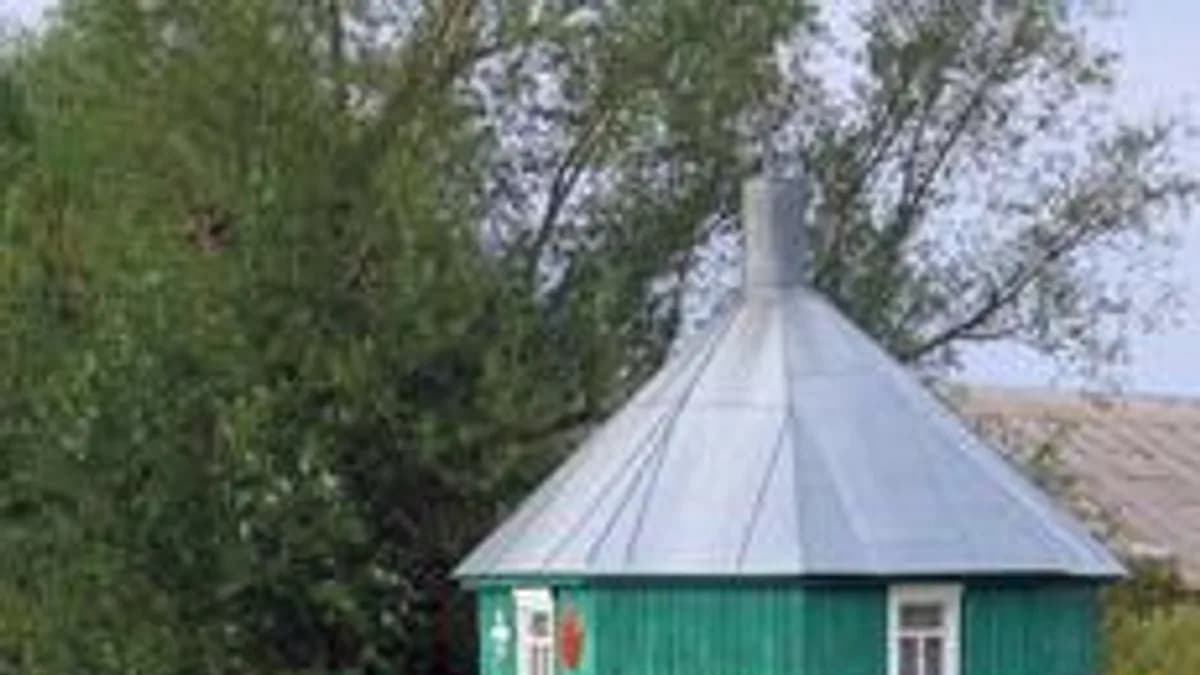 Обложка курса «Практикум "Экология села Большой Ломовис"» на Stepik