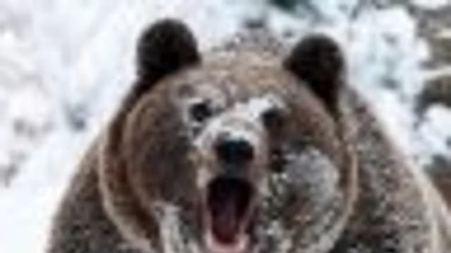 Обложка курса: Предназначение (Дана Сатори). Площадка: Складчина.biz