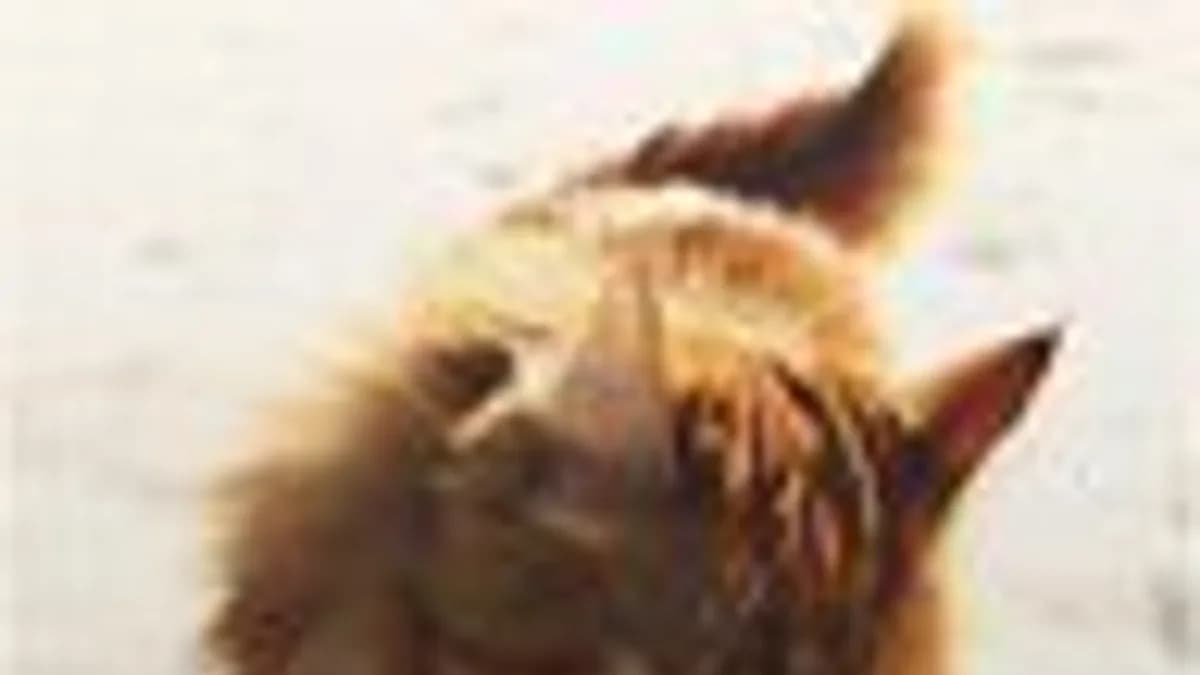 Обложка курса: Прибыльная связка - В. Сургай. Площадка: Складчик