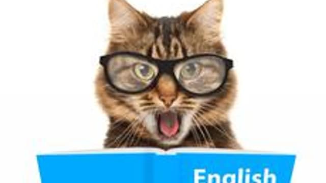 Обложка курса «Прикольный английский!» на Stepik