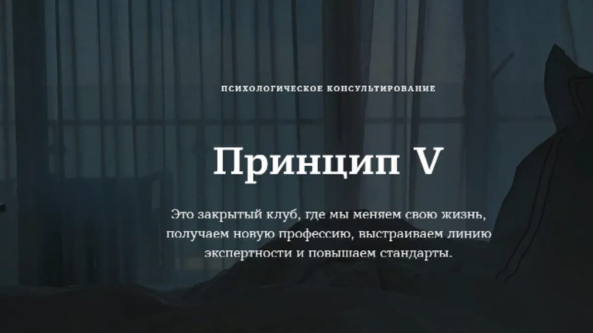 Обложка курса: Принцип V [Марина Чернов]. Площадка: Складчик
