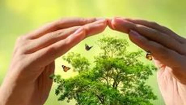 Обложка курса «Природа и человек» на Stepik