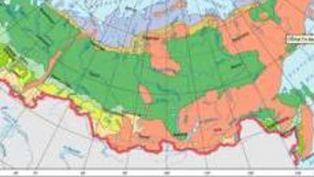 Обложка курса «Природные зоны России» на Stepik
