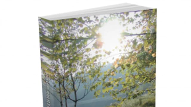Обложка курса: Продление жизни [И.Паломонов]. Площадка: Складчик