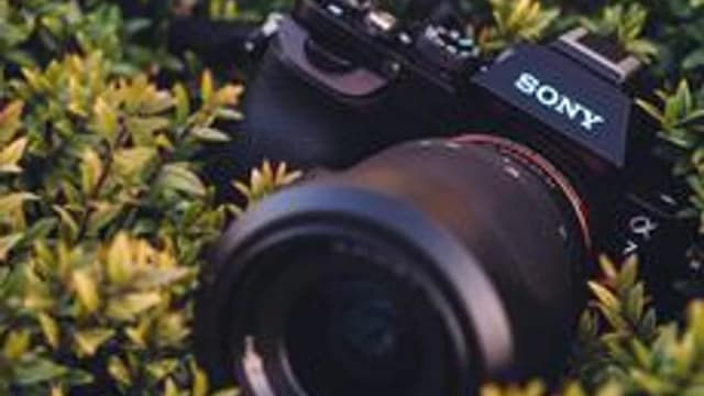 Обложка курса «Профессия Фотограф.» на Stepik