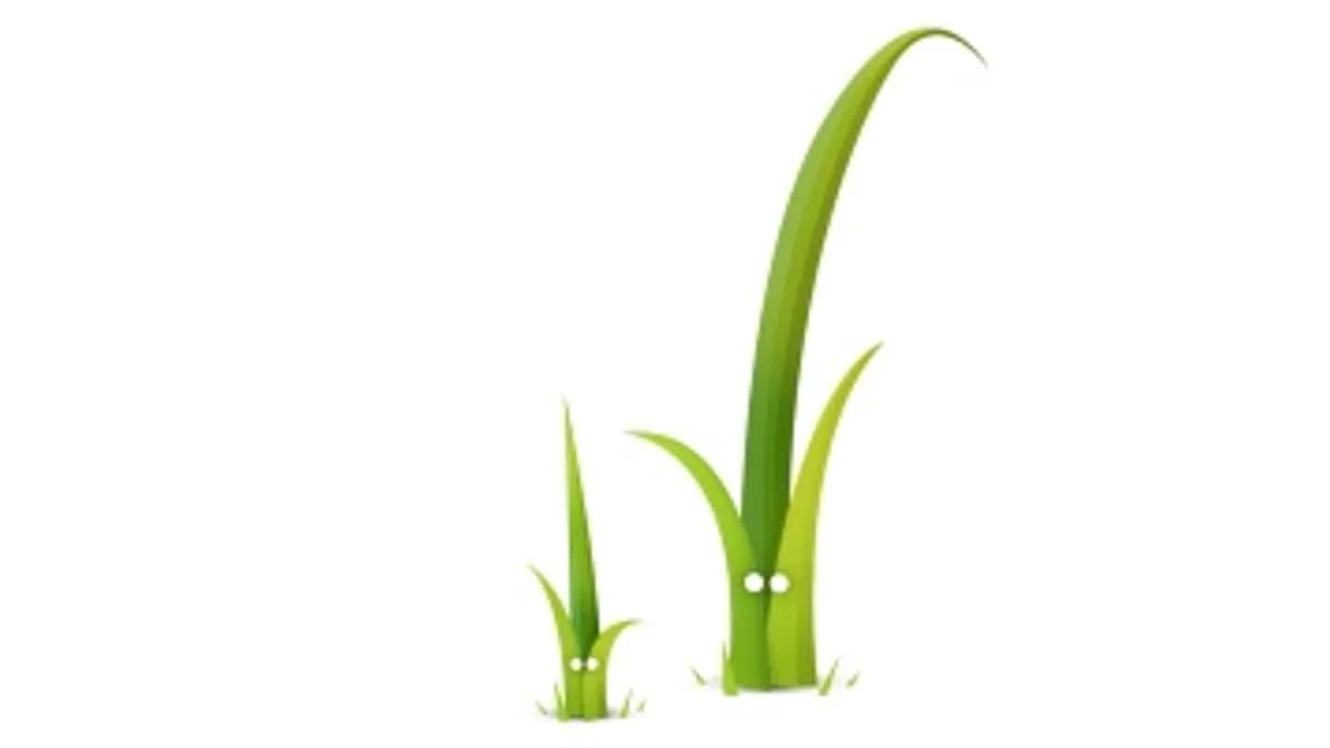 Обложка курса: (profit)Twig: быстрый старт. Площадка: Складчик
