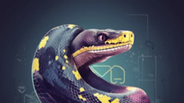 Обложка курса «ProgMine. Программирование на Python» на Stepik