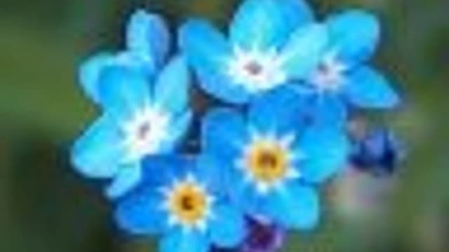 Обложка курса: Прогнозы для вас. Площадка: Складчик