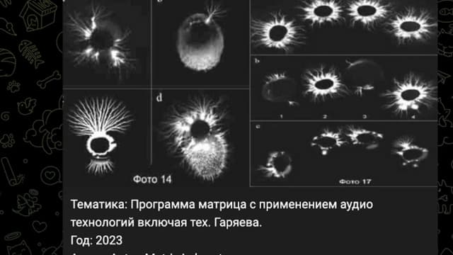 Обложка курса: Программа Антипаразитарная №3 [Anton Matrix Laboratory]. Площадка: Складчик