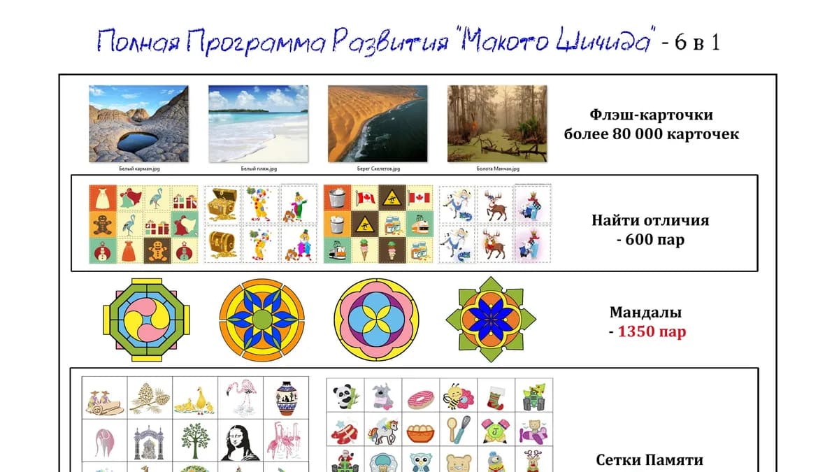 Обложка курса: Программа Макото Шичида. Площадка: Складчик