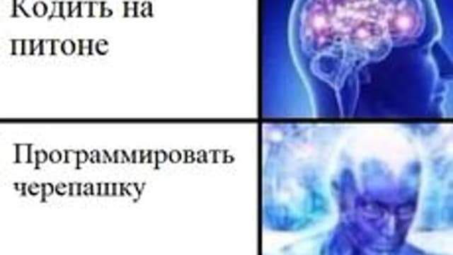 Обложка курса «Программирование и основы алгоритмизации» на Stepik