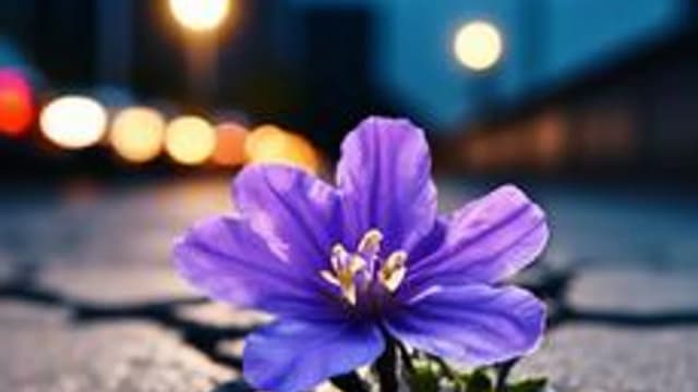 Обложка курса «ProСчастье (а не статус)» на Stepik