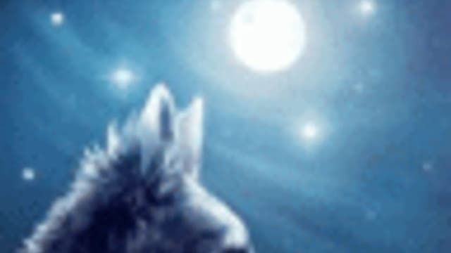 Обложка курса: Процветание - Светлана Голубева. Площадка: Складчик