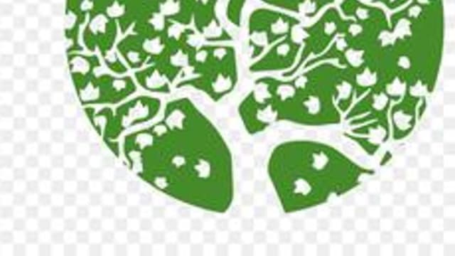 Обложка курса «Психология» на Stepik