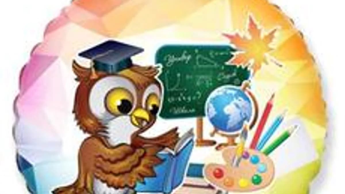 Обложка курса «Путешествие по системе выделения» на Stepik