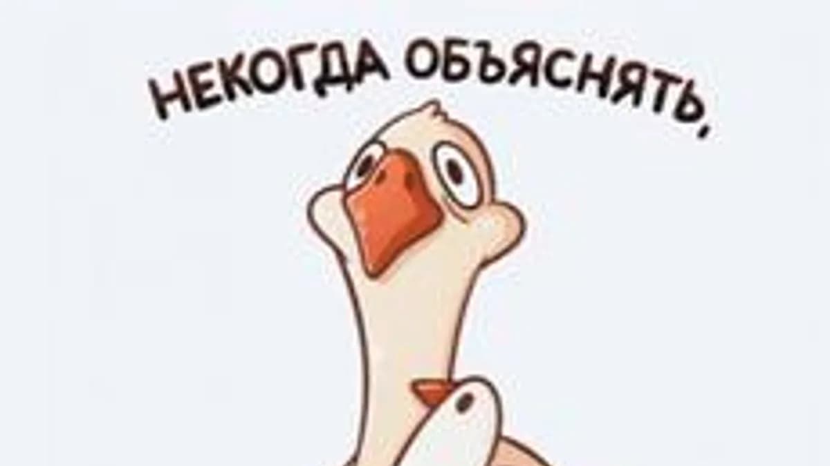 Обложка курса «Python 6 "А"» на Stepik