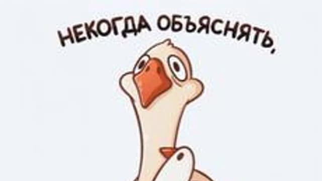 Обложка курса «Python 6 "А"» на Stepik
