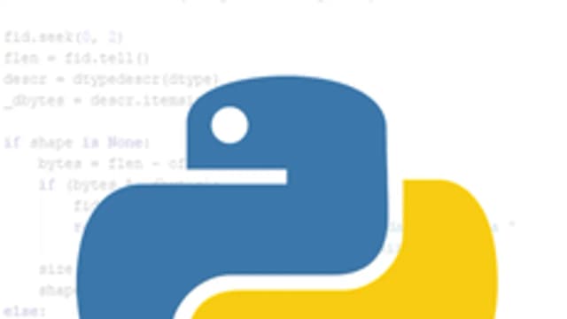 Обложка курса «Python начальный Лето 2024» на Stepik