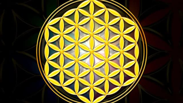 Обложка курса: Radionic Fibonacci - Цветок жизни. Площадка: Складчик