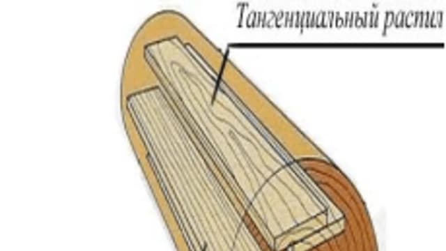 Обложка курса «Раскрой пиловочного сырья» на Stepik