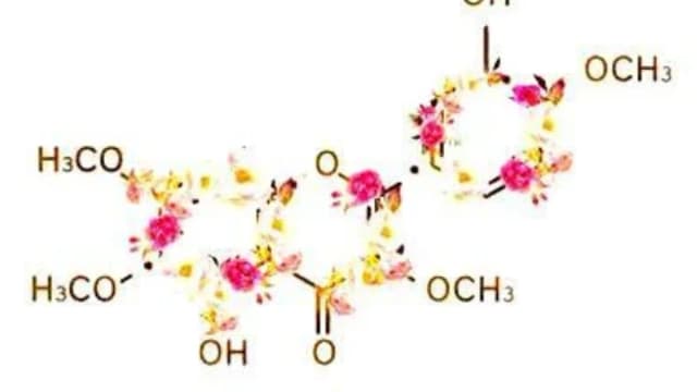 Обложка курса: Регулирование пролактина [Sigh Energy]. Площадка: Складчик