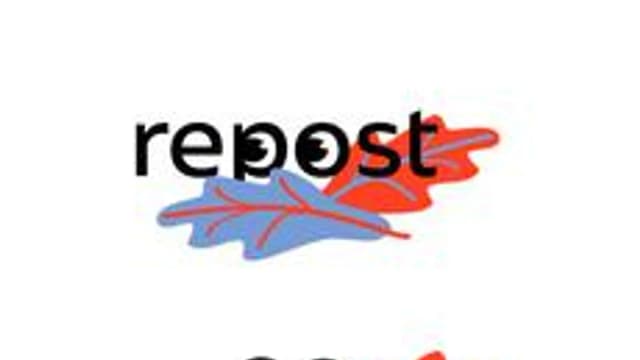 Обложка курса «Репост как правонарушение» на Stepik