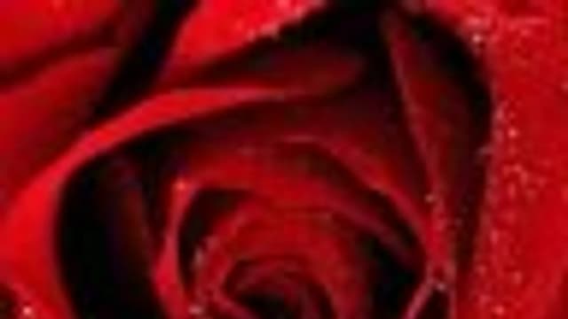 Обложка курса: Реселл-комплект: Ваш мгновенный старт в инфобизнесе!. Площадка: Складчик