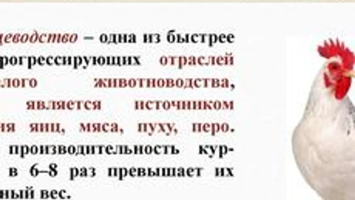 Обложка курса «ргшпш» на Stepik
