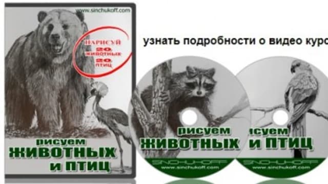 Обложка курса: Рисуем животных и птиц, 2017 (Юрий Синчуков). Площадка: Складчина.biz