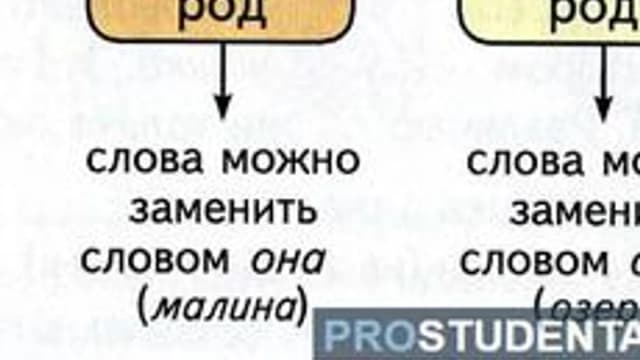 Обложка курса «Род в русской грамматике» на Stepik