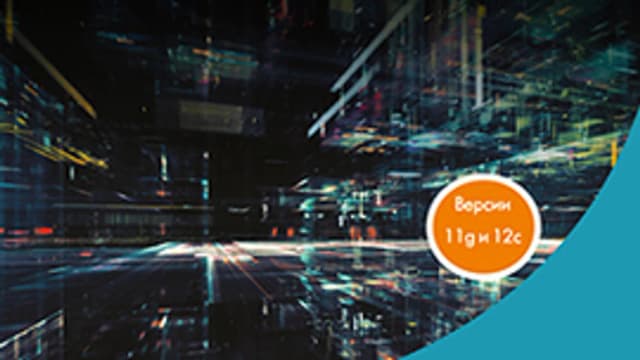 Обложка курса: Руководство по диагностике и устранению проблем в Oracle. Площадка: Складчик