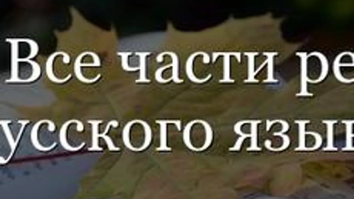 Обложка курса «Русский язык. Части речи.» на Stepik