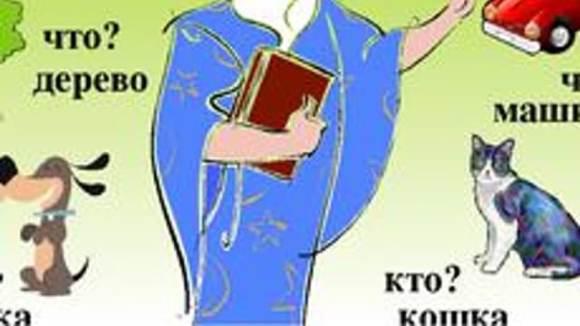 Обложка курса «русский язык. Имя Существительное» на Stepik