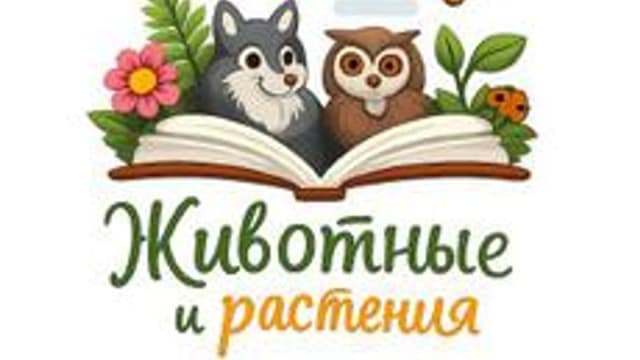 Обложка курса «Русский язык как иностранный» на Stepik