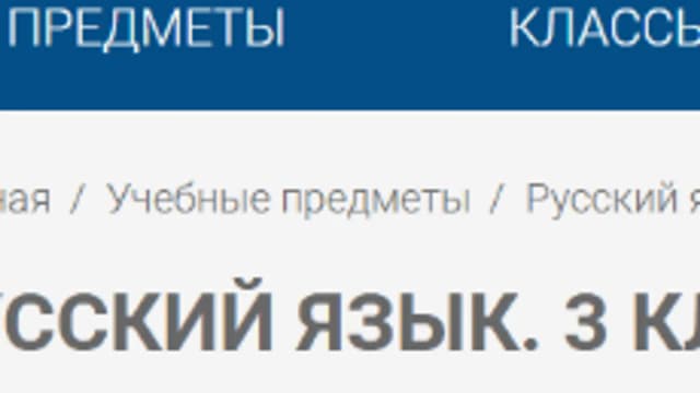 Обложка курса «Русский язык» на Stepik