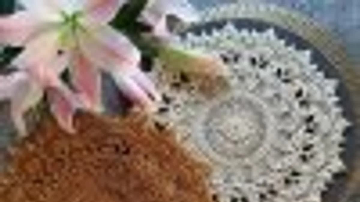 Обложка курса: Салфетка "Лилия" круглая [lenamasterica]. Площадка: Складчик