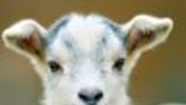 Обложка курса: Секс [Анна Горбунова]. Площадка: Складчик